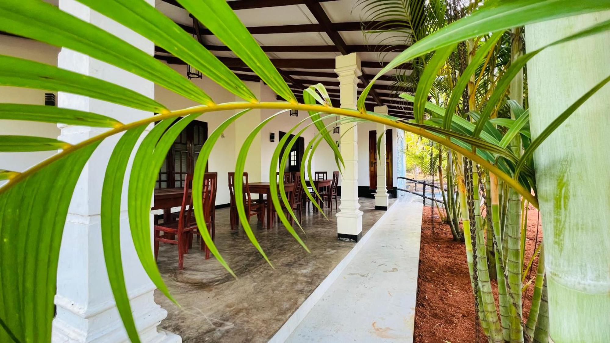 Sigiriya Rock Elephant Corridor Apartment Ngoại thất bức ảnh